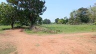 Site for Sale
